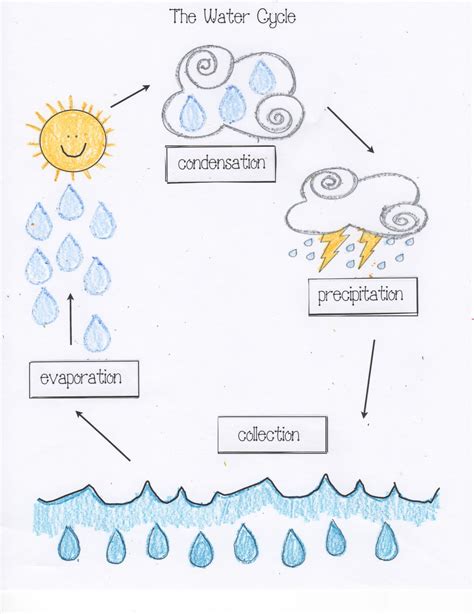 Printable Water Cycle Worksheets