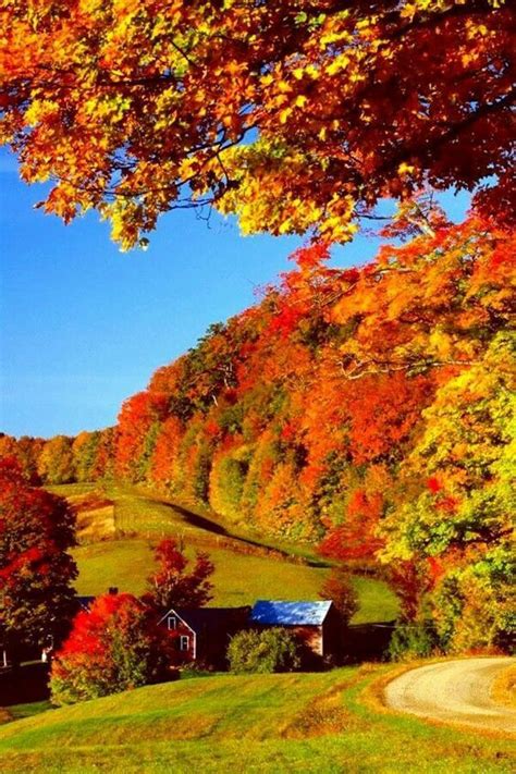 Awesome Autumn Scenery Autumn Landscape Fall Pictures