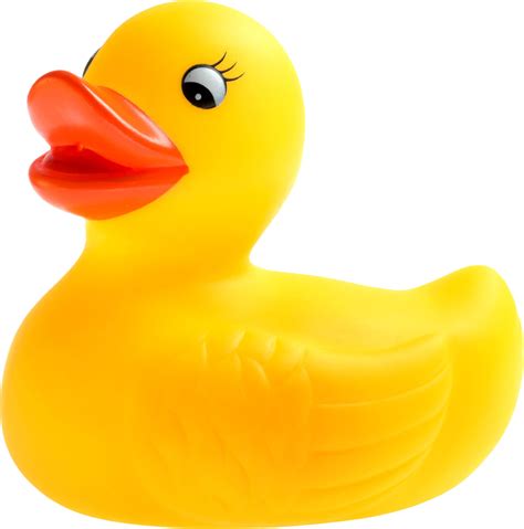 Duck Png Search And Download Free Hd Duck Png Images With Transparent