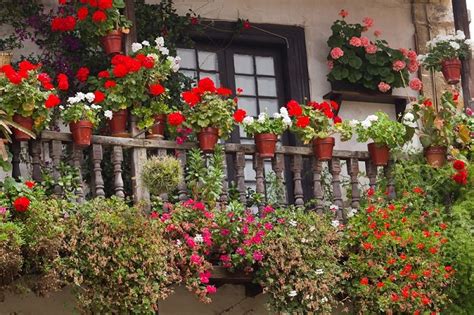 10 Tips To Start A Balcony Flower Garden Balcony Garden