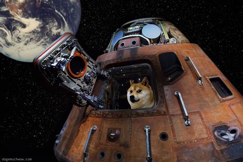 7 Space Doge Wallpapers In Hd 🚀 Doge Much Wow