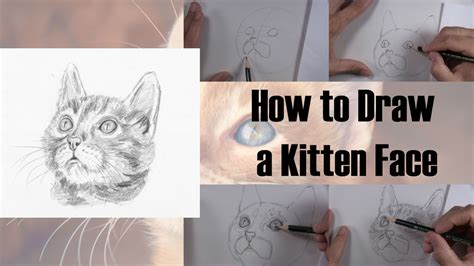 How To Draw A Kitten Face Step By Step Lets Draw Today