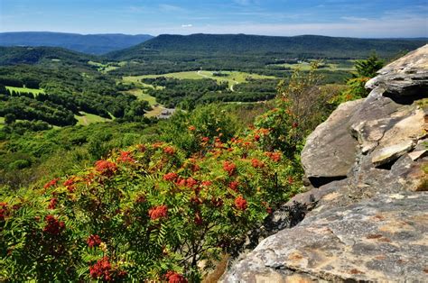 Discover West Virginia Ride To The Top Of Canaan Valley The Bald Knob