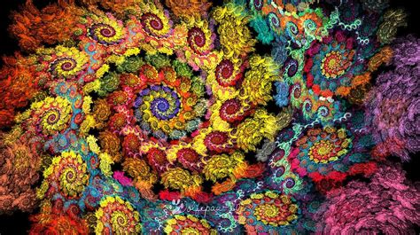 Floral Spiral Digital Art By Peggi Wolfe Pixels