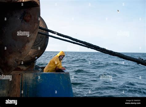 Fisherman Hauling Back Dragger Net On Fishing Trawler Stellwagen Banks