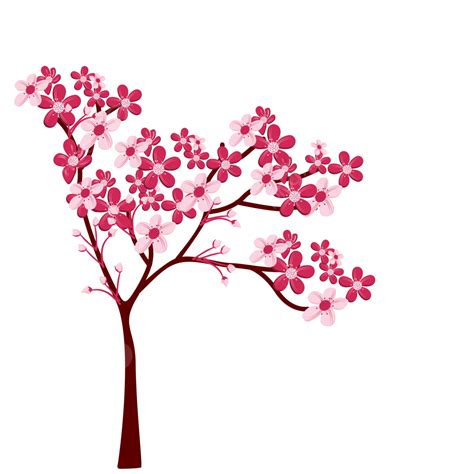 Cherry Blossoms PNG Picture Cherry Blossoms Vector Design 03 Cherry