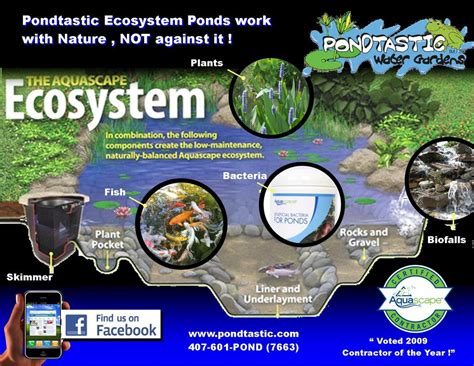 They lead both in terms of quality and low, competitive prices. ecosystem 2 ad.jpg from Pondtastic Water Gardens Orlando ...