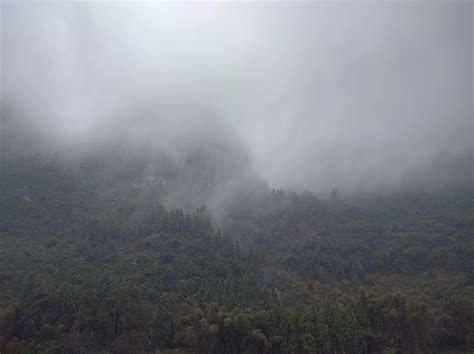 Free Images Nature Forest Mountain Cloud Fog Mist Sunlight