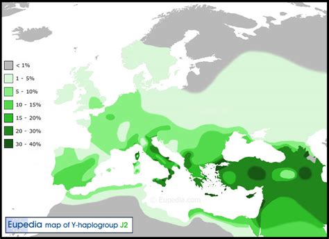 I2a1 and dinaric phylogentic tree for middle and. Rome spread Middle Eastern and North African Y DNA not ...