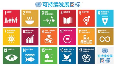 报告解读：联合国可持续发展目标在中国 新闻室 新闻