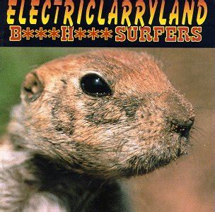 Electriclarryland Butthole Surfers Amazon Fr CD Et Vinyles