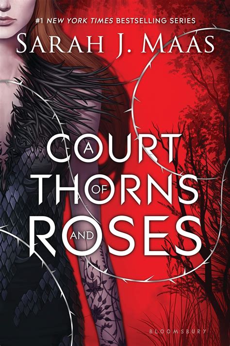 A Court Of Thorns And Roses Book Review Perfect Isnt Easy