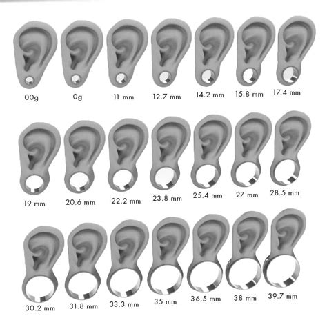 Plug Earrings Gauges Gauges Piercing Piercing Chart Face Piercings Body Piercing Jewelry