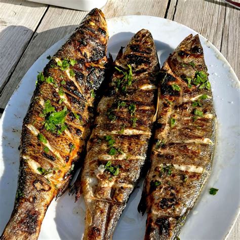 Greek Style Grilled Fish