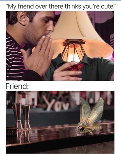 My Friend Over There Thinks Youre Cute Moth Lamp Know Your Meme