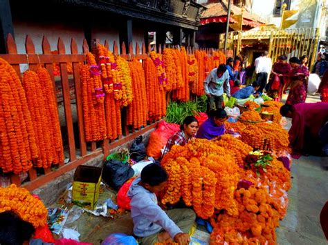 Amazing Festivals In Nepal Celebrated By Nepalese People Every Year