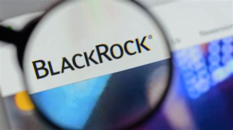 „einen Konzern Wie Blackrock Hat Es Noch Nie Gegeben Euractiv De