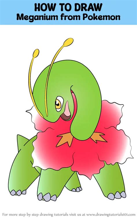 How To Draw Meganium From Pokemon Pokemon Step By Step