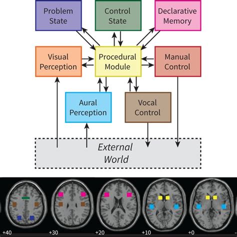 The Cognitive Architecture Act R And Its Mapping On Brain Regions
