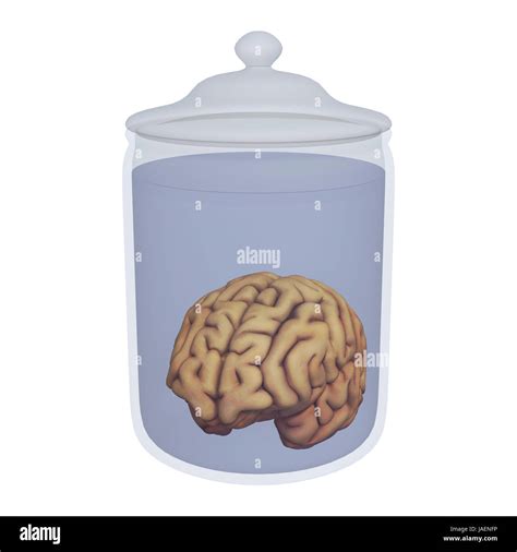 3d Digital Render Of A Human Brain In A Jar With Liquid Isolated On