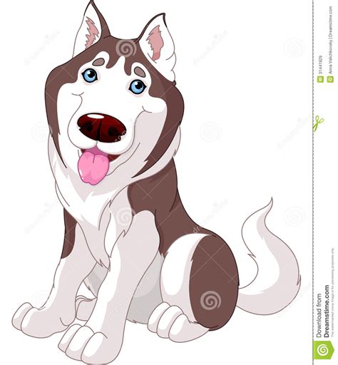 Cute Husky Royalty Free Stock Images Image 31441829