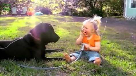 Funny Dogs And Babies Playing With Hoses Compilation 2014 New Hd Cats