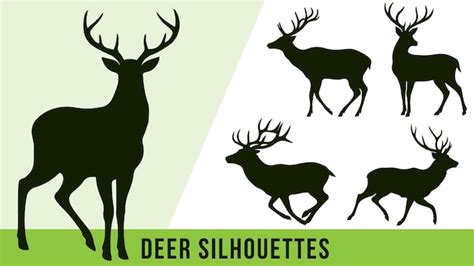 Premium Vector Collection Of Detailed Deer Silhouette Vectors