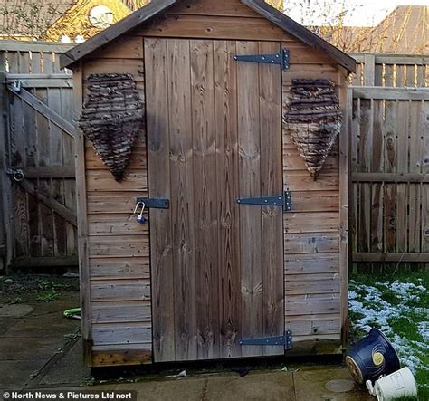 Here are some common reasons why people think. Stalker terrifies ex-girlfriend by living in her garden ...