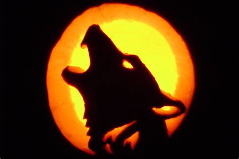 Wolf Pumpkin Carving By Storms Shadow On Deviantart