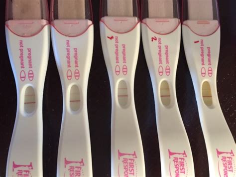 Pregnancy Test Progression Glow Community