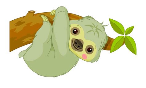 Baby Sloth Clip Art Clip Art Library