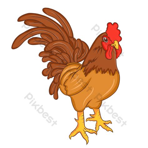 Gambar Ayam Kartun Png
