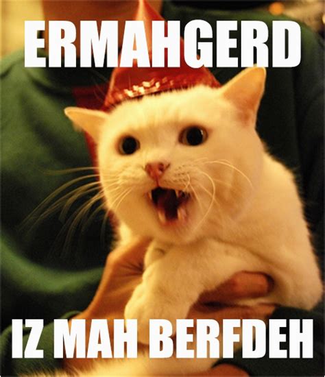 It S My Cat S Birthday Meme 17 Best Images About Ermahgerd Cat On