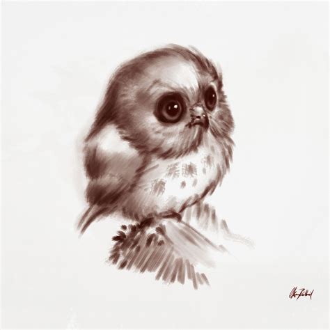 Cute Owl Okan Bülbül On Artstation At