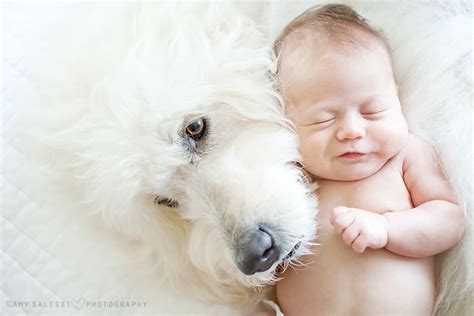 Newborn With Pets Baby Photos Baby Dog Photos Baby Pictures