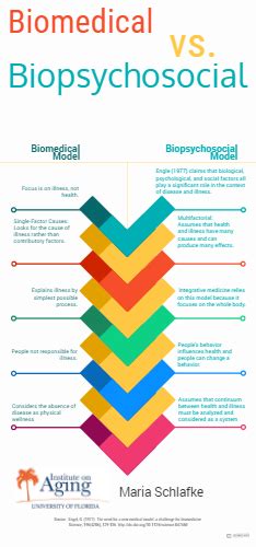 Biomedical Model Vs Biopsychosocial Model By Maria Schlafke Infographic