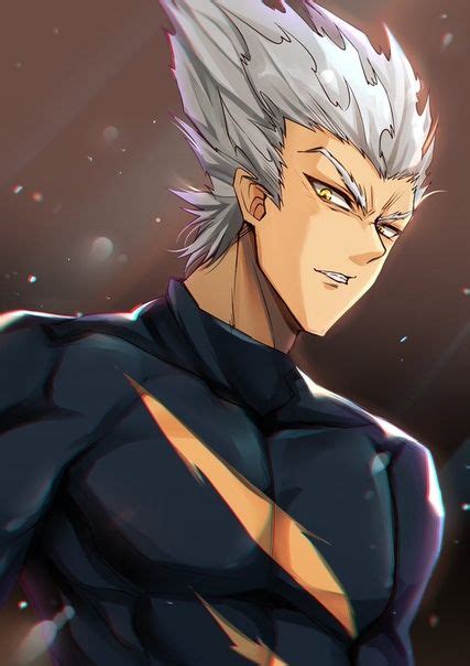 Garou Гароу One Punch Man One Punch Man Anime One Punch Man