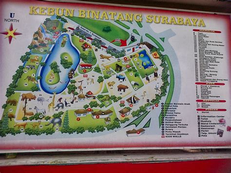 Best Travel Destinations Surabaya Zoo The Most Popular Zoo In Indonesia