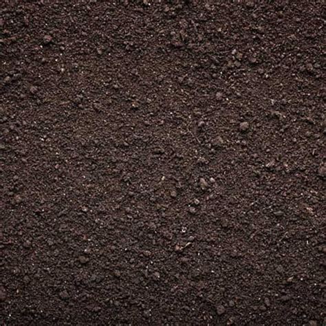 Screened Topsoil Loam Black Dirt — Park Landscaping Supplies