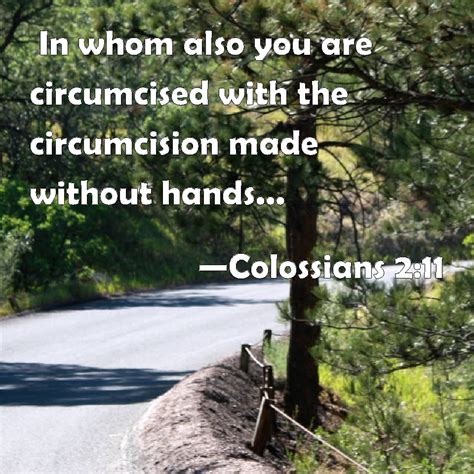 Colossians 2 11 In Whom Also You Are Circumcised With The Circumcision Made Without Hands In