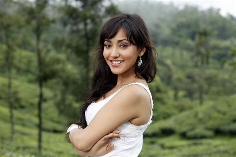 Bollywood Actress Hd Wallpapers Pictures Images Neha Sharma Hd
