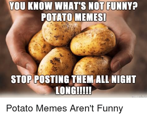 I Can Count To Potato Funny Potato Memes Funny Meme On Meme