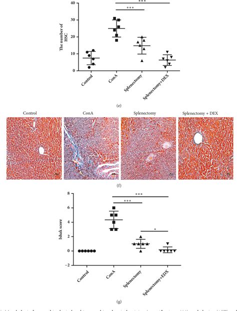 Figure 2 From Splenectomy Promotes Macrophage Polarization In A Mouse