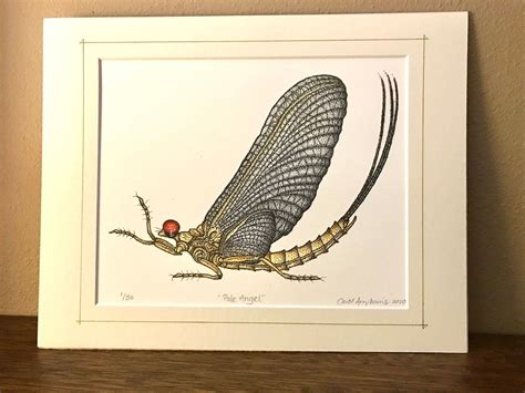 Pale Angel Pale Morning Dun Mayfly Limited Edition Of 50 Etsy