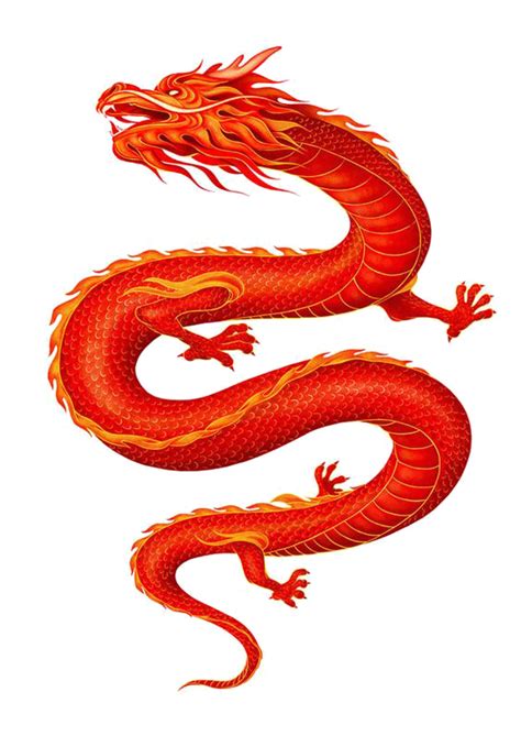 China Chinese Dragon Chinese Dragon Png Download 564797 Free