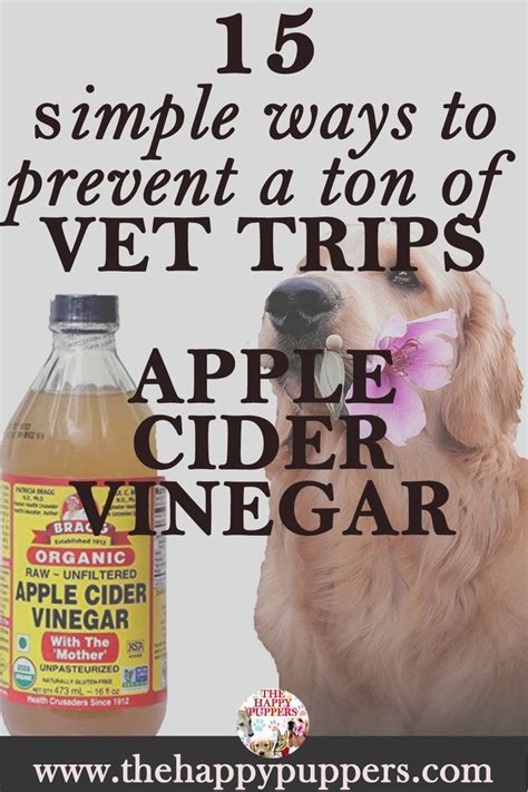 Apple Cider Vinegar Yeast Infection Dog Aplekat
