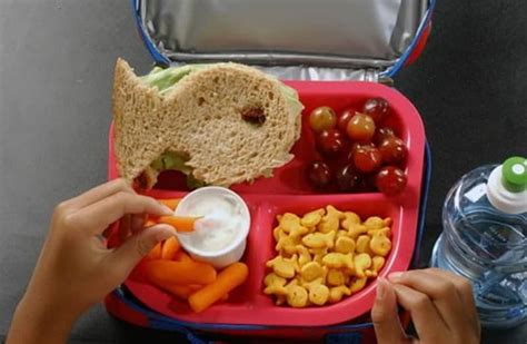 Ideas Originales Y Saludables Para El Almuerzo En El Colegio