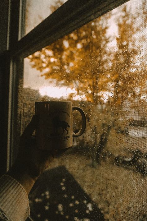 Discover 85 Cozy Fall Coffee Wallpaper Incdgdbentre