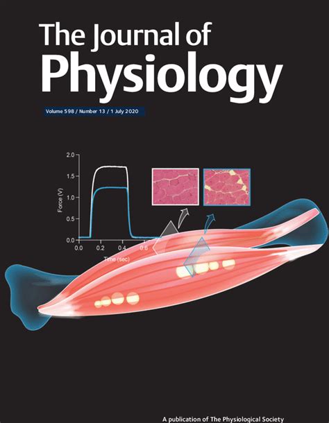 Issue Information 2020 The Journal Of Physiology Wiley Online Library