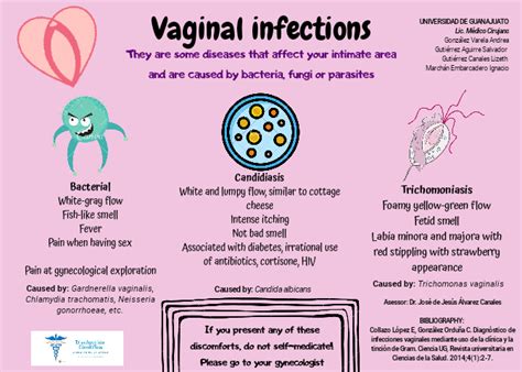Vaginal Infections DivulgaciÓn CientÍfica Ug